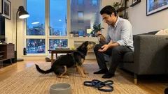 What it means when your dog nudges you with his nose