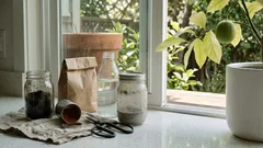 The pantry mix that may perk up a tired lemon tree in 2 weeks